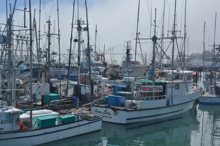 fishing boats at Newport bayfront